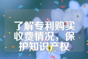 了解专利购买收费情况，保护知识产权