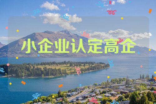 解读小企业认定高企和申报审计的要求第1张-专利转让平台
