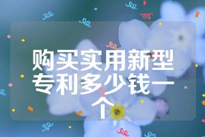 购买实用新型专利多少钱一个