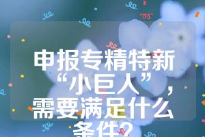 申报专精特新“小巨人”，需要满足什么条件？