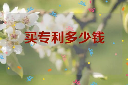 买专利多少钱第1张-专利转让平台