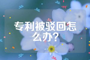 专利被驳回怎么办？