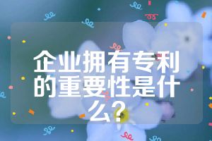 企业拥有专利的重要性是什么？