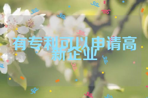 有专利可以申请高新企业