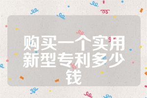 购买一个实用新型专利多少钱