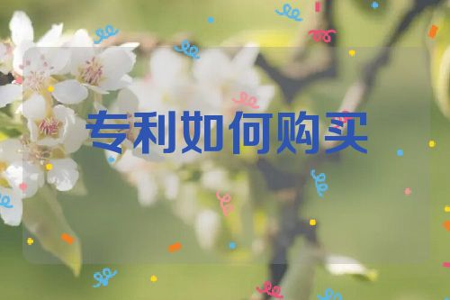专利如何购买第1张-专利转让平台