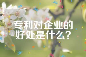 专利对企业的好处是什么？