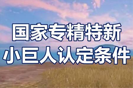 国家专精特新小巨人认定条件,专精特新小巨人需要具备的条件 第1张-专利转让平台