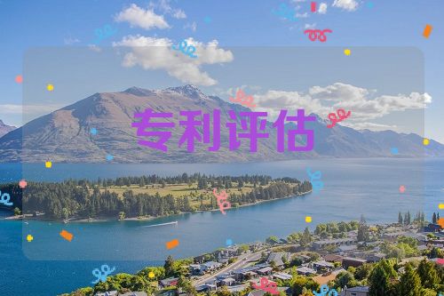 专利评估与实缴资本的关系第1张-专利转让平台