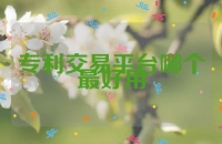 专利交易平台哪个最好用