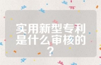 实用新型专利是什么审核的？