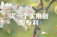 买一个实用新型专利