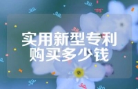 实用新型专利购买多少钱