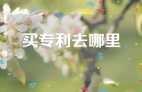 买专利去哪里