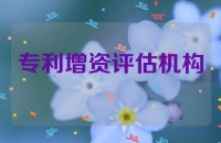 专利增资评估机构