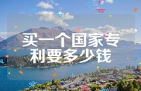 买一个国家专利要多少钱