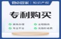 你需要多少钱才能买到专利？