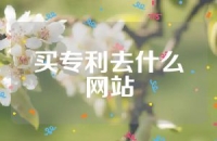 买专利去什么网站
