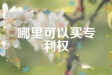 哪里可以买专利权