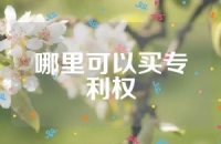 哪里可以买专利权