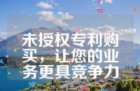 未授权专利购买，让您的业务更具竞争力
