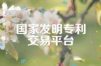 国家发明专利交易平台