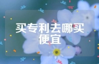 买专利去哪买便宜