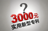 实用新型专利3000贵吗？实际3000价格稍微有点高了，实用新型价格