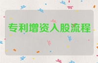 专利增资入股流程