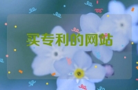 买专利的网站
