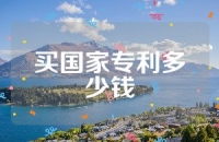 买国家专利多少钱
