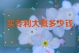 买一个专利大概多少钱啊