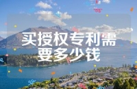 买授权专利需要多少钱