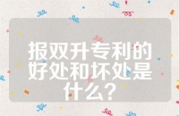 报双升专利的好处和坏处是什么？