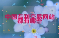 中国专利交易网站都有哪些