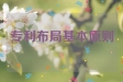 专利布局基本原则