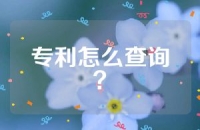 专利怎么查询？