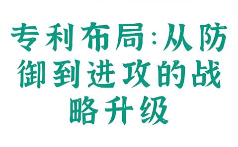 专利布局:从防御到仅供的战略升级